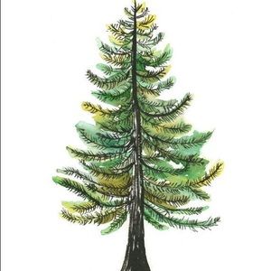 Meet your Posher, Rad